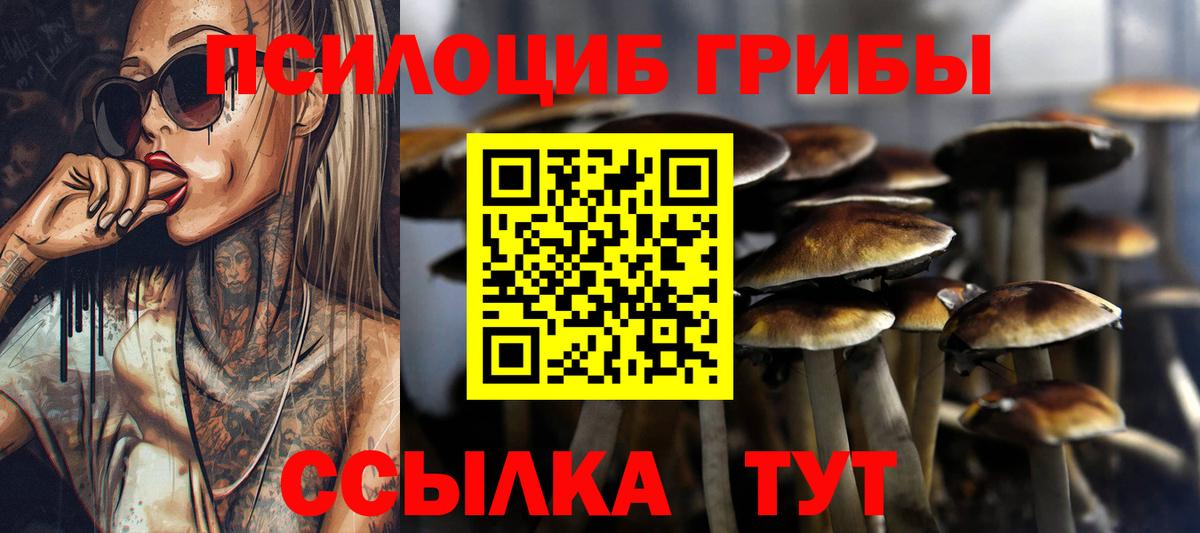 Галлюциногенные грибы MAGIC MUSHROOMS  Вход с VPN  Янаул 
